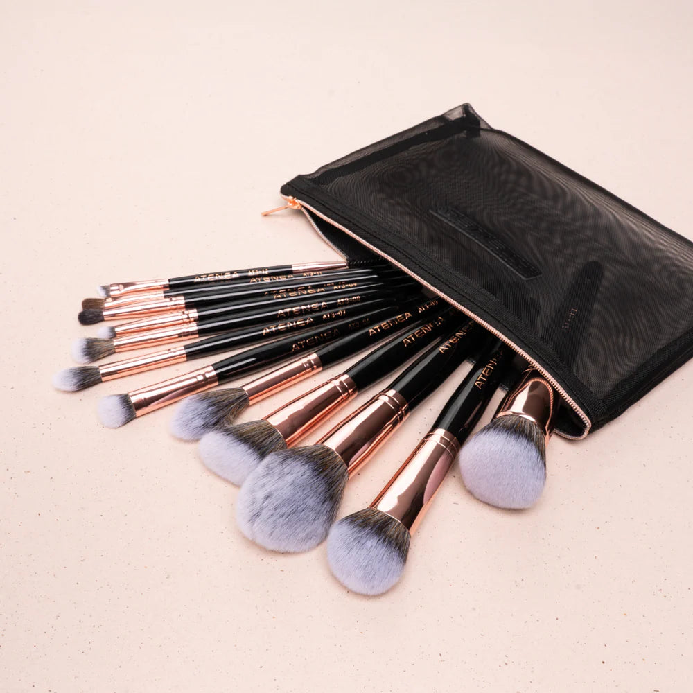 KIT DE BROCHAS X12 ATENEA
